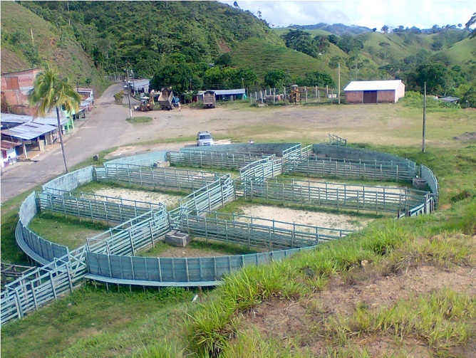 corral para toros de lidia redondo toreros plaza de toros corrales para corralejas corrales para fiestas corrales para eventos corrales para toros bravos corrales para toros de engorda 006 corral para toros de lidia redondo toreros plaza de toros corrales para corralejas corrales para fiestas corralescorral para toros de lidia redondo toreros plaza de toros corrales para corralejas corrales para fiestas corrales para eventos corrales para toros bravos corrales para toros de engorda 006 para eventos corrales para toros bravos corrales para toros de engorda 006